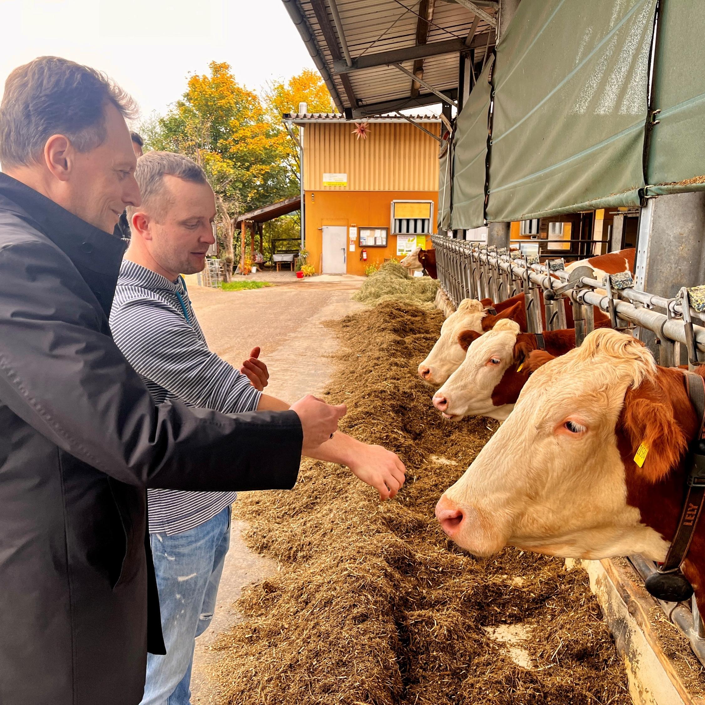 Landwirt Daniel Böhmer schilderte bei einem Rundgang die zunehmende Belastung vieler Betriebe durch wachsende Bürokratie.