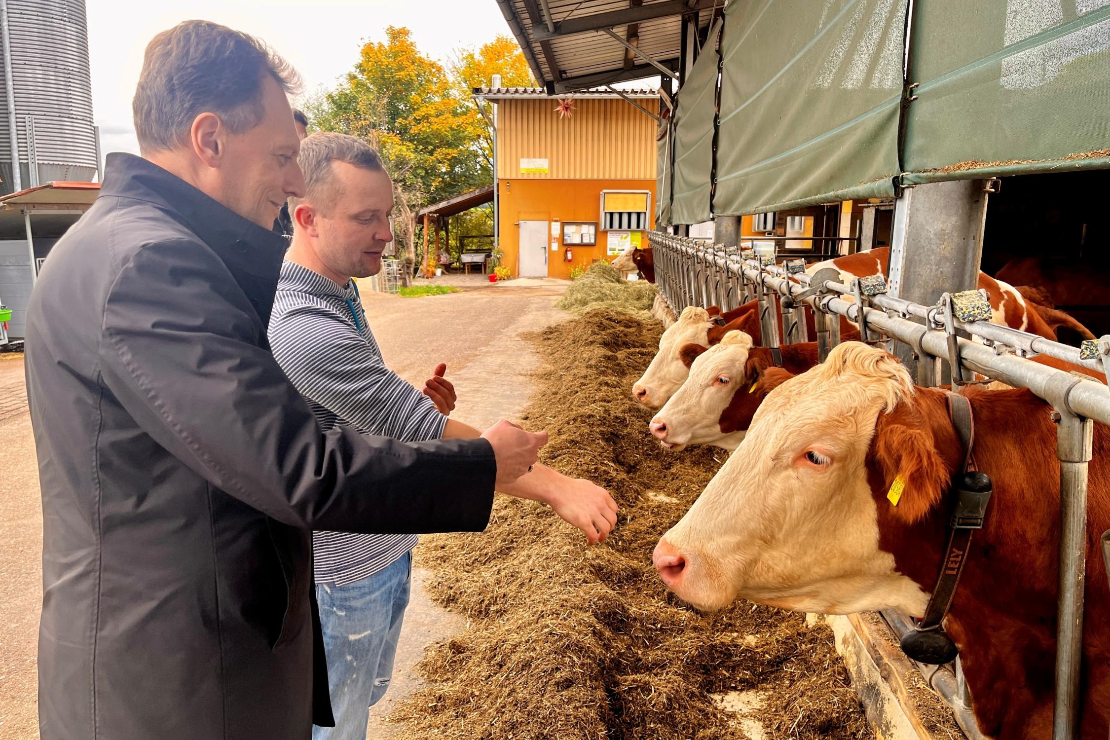 Landwirt Daniel Böhmer schilderte bei einem Rundgang die zunehmende Belastung vieler Betriebe durch wachsende Bürokratie.