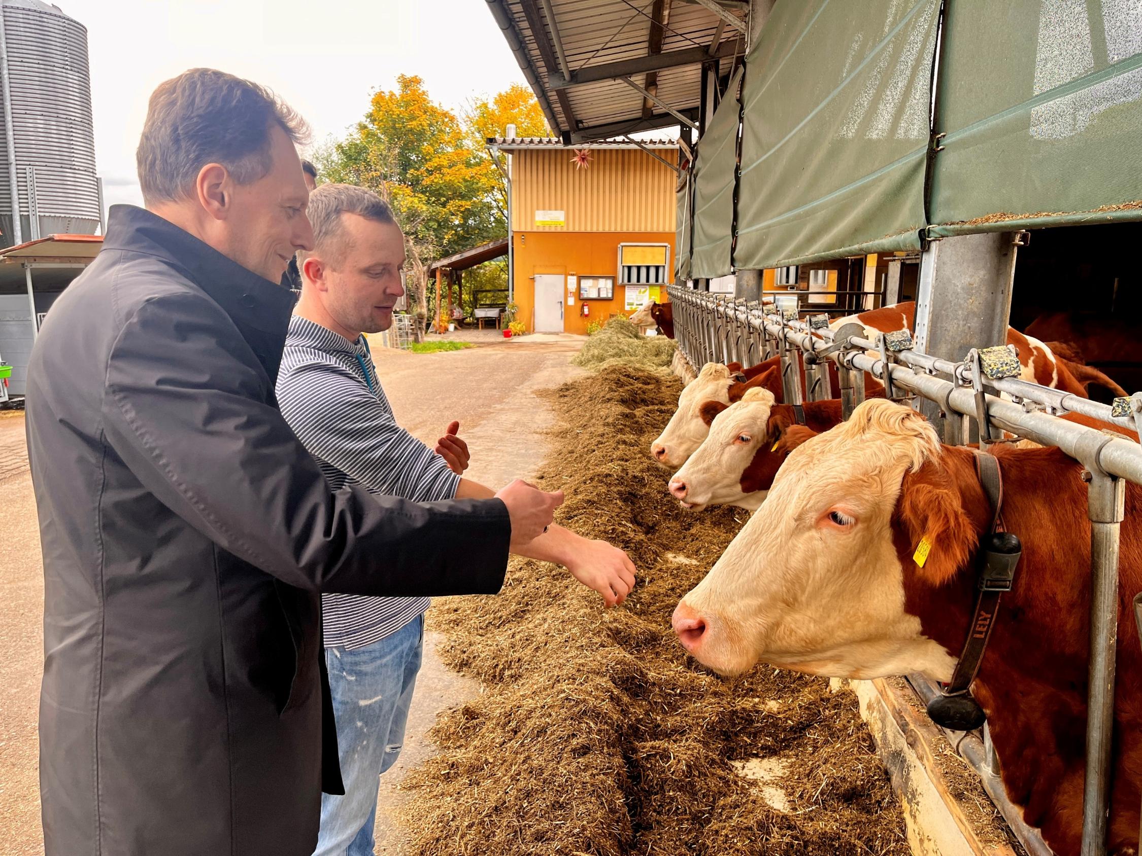 Landwirt Daniel Böhmer schilderte bei einem Rundgang die zunehmende Belastung vieler Betriebe durch wachsende Bürokratie.