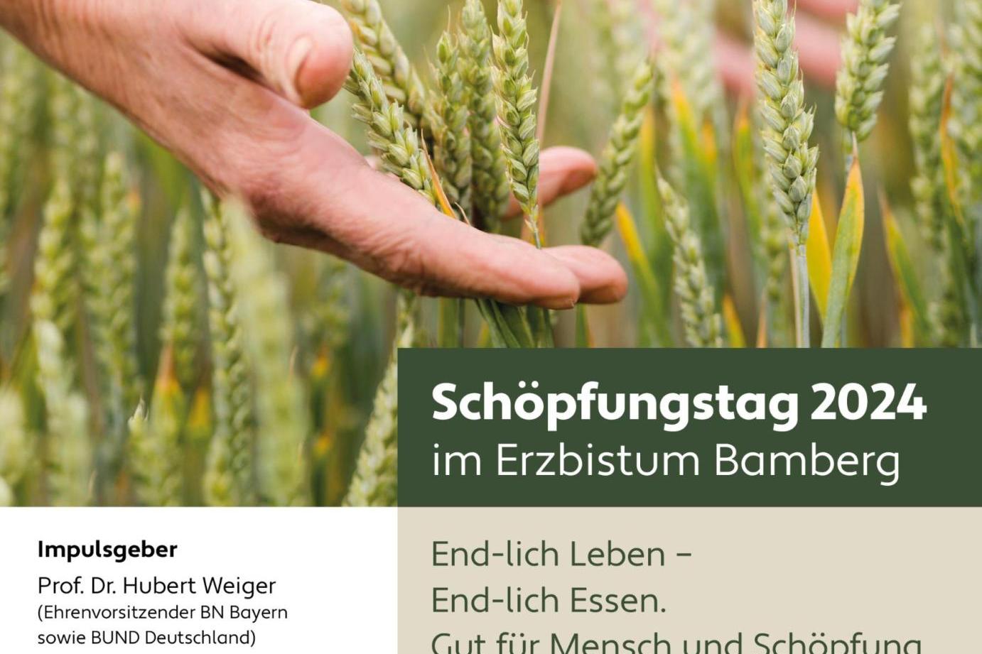 bild_plakat_schoepfungstag