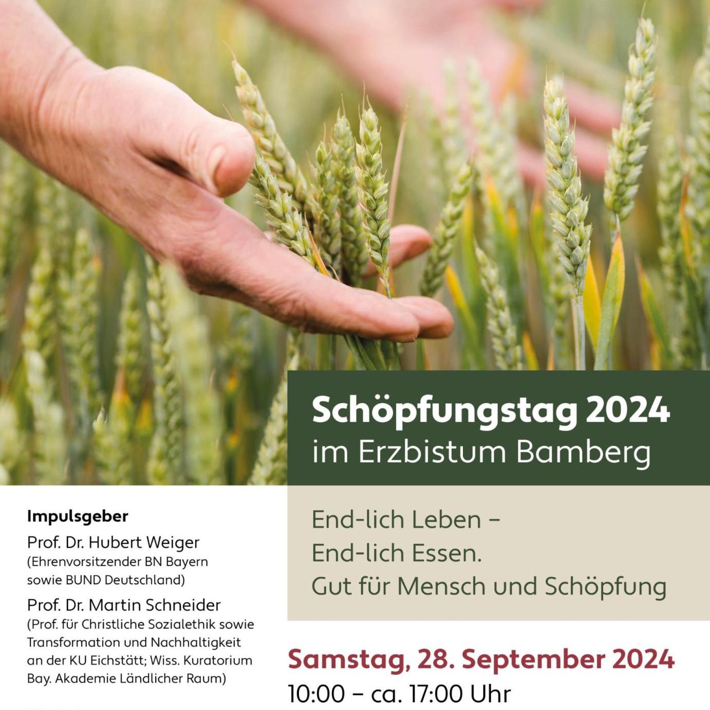 bild_plakat_schoepfungstag